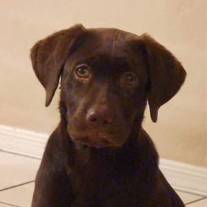 Meet your Posher, Margaret